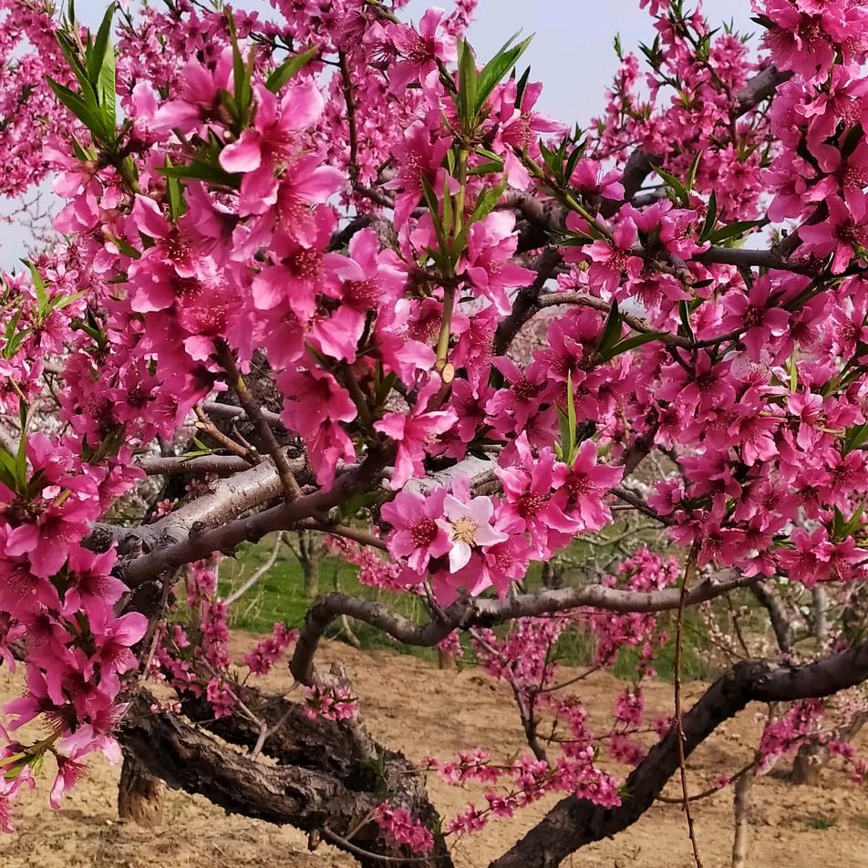 人情冷暖薄如纸