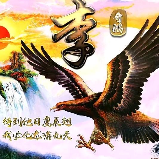 泰迪·罗宾