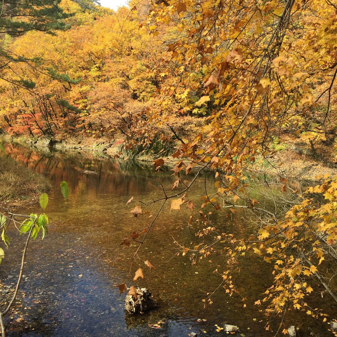 大连 全屋定制 帝