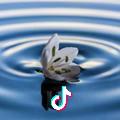 壑藏曲水