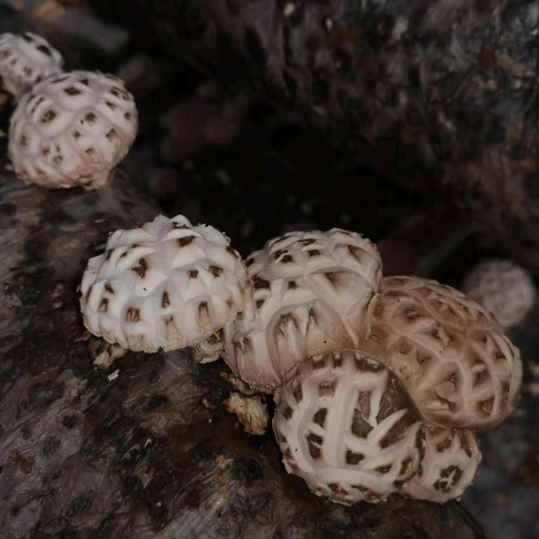 随州源生态商贸有限公司