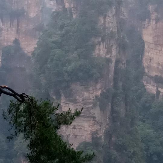 竹剑（高胜利）