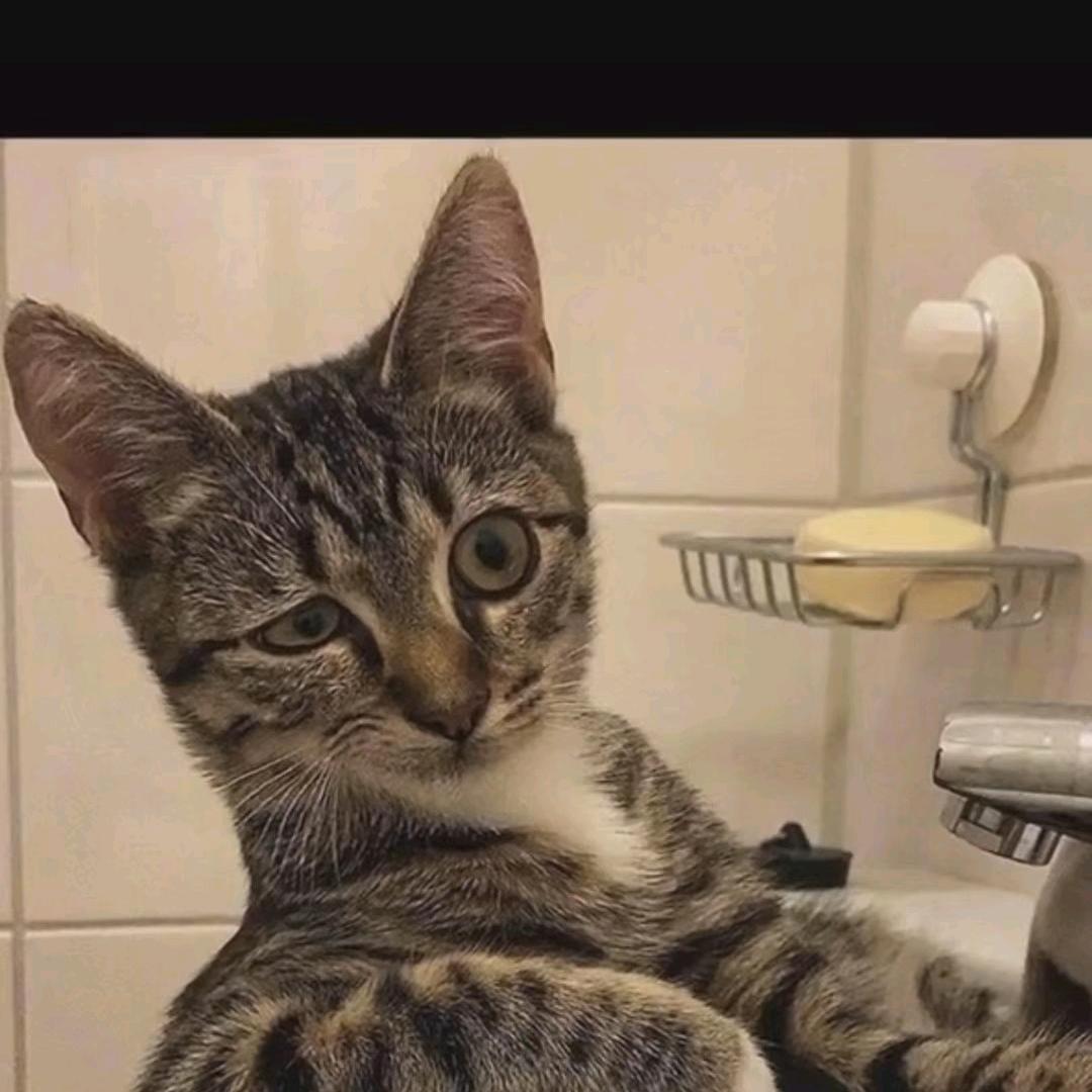 耐心