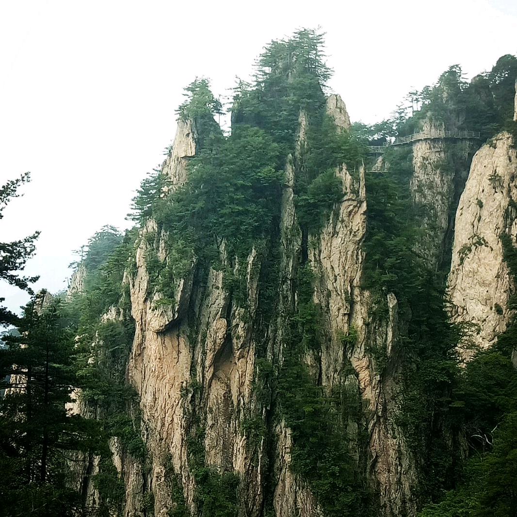 a追寻