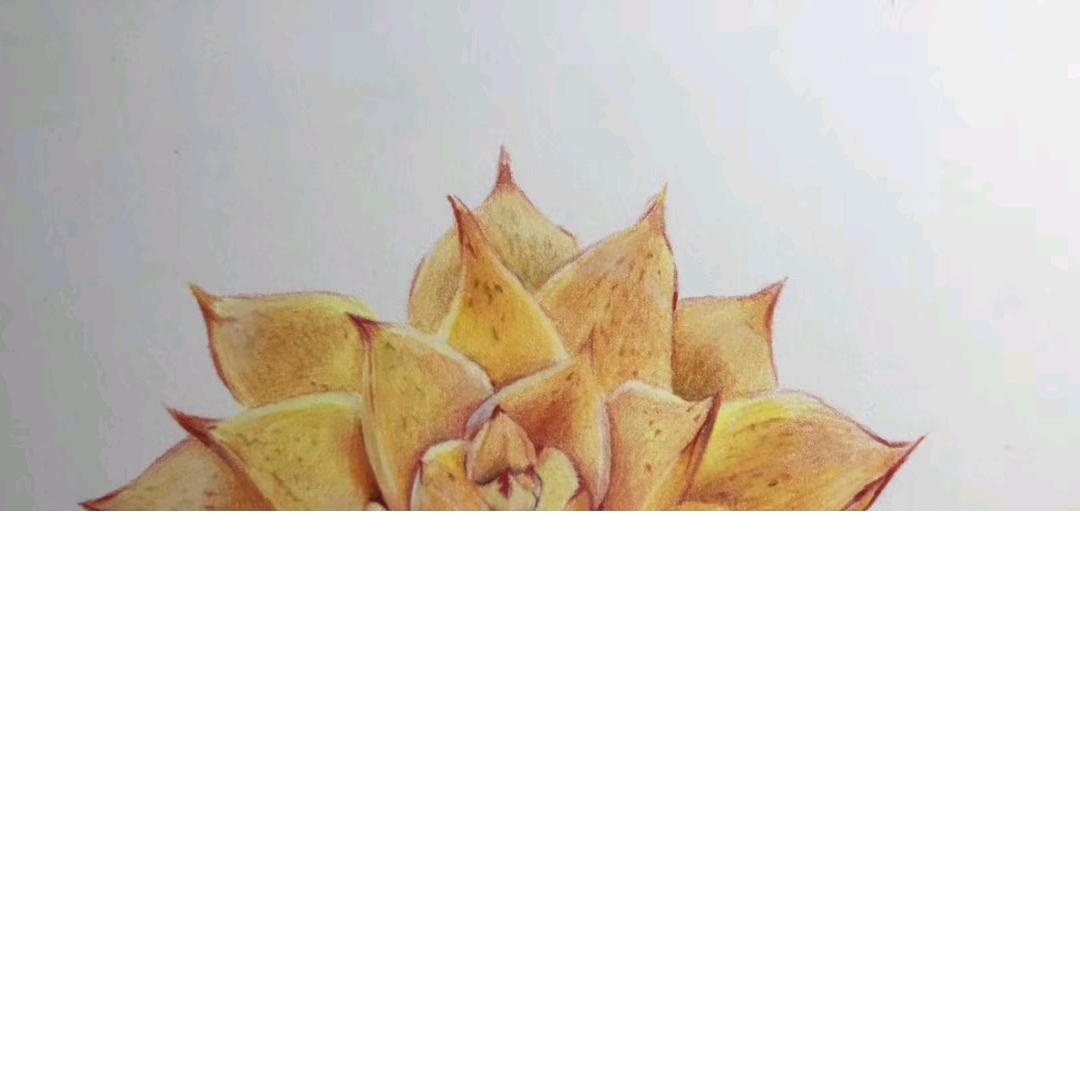 用户9338570344545