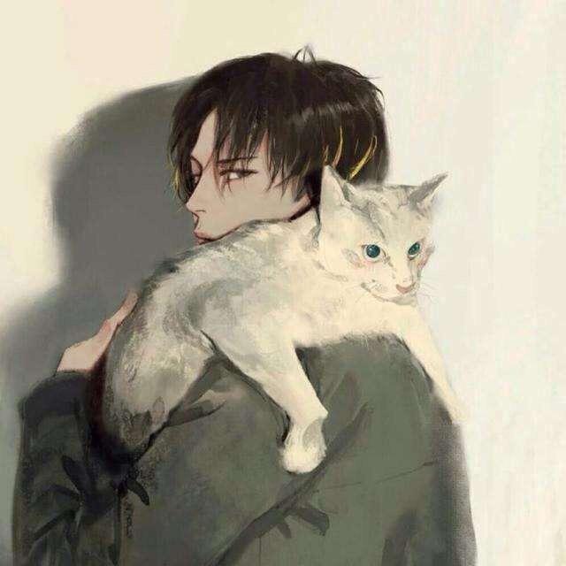 爱喝咖啡的猫
