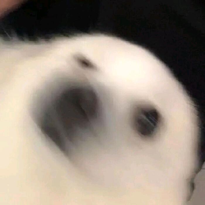 尘ah.