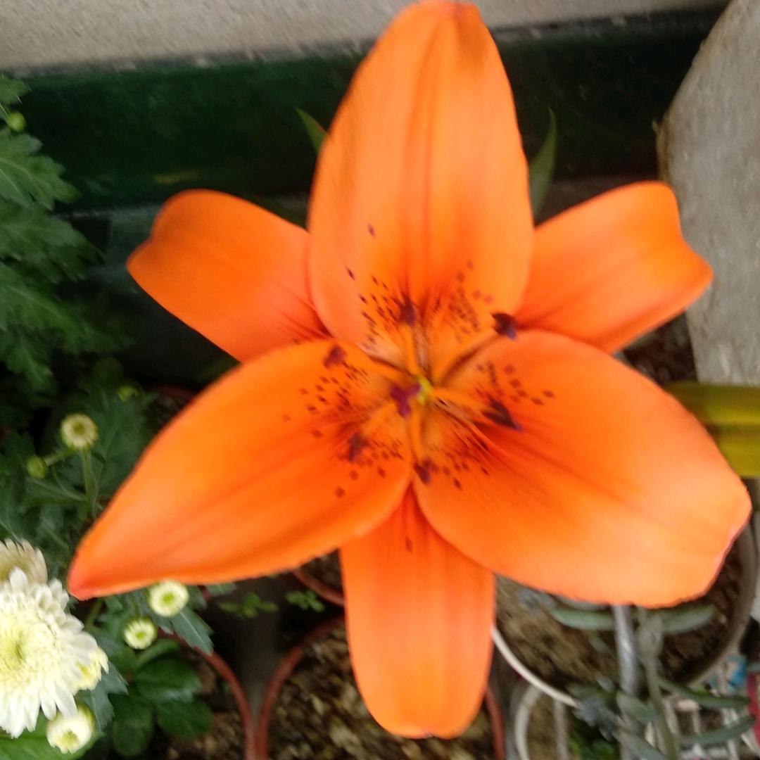 无依不靠，自知冷暖