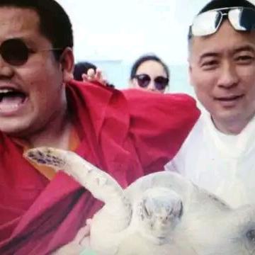豆哥不点评