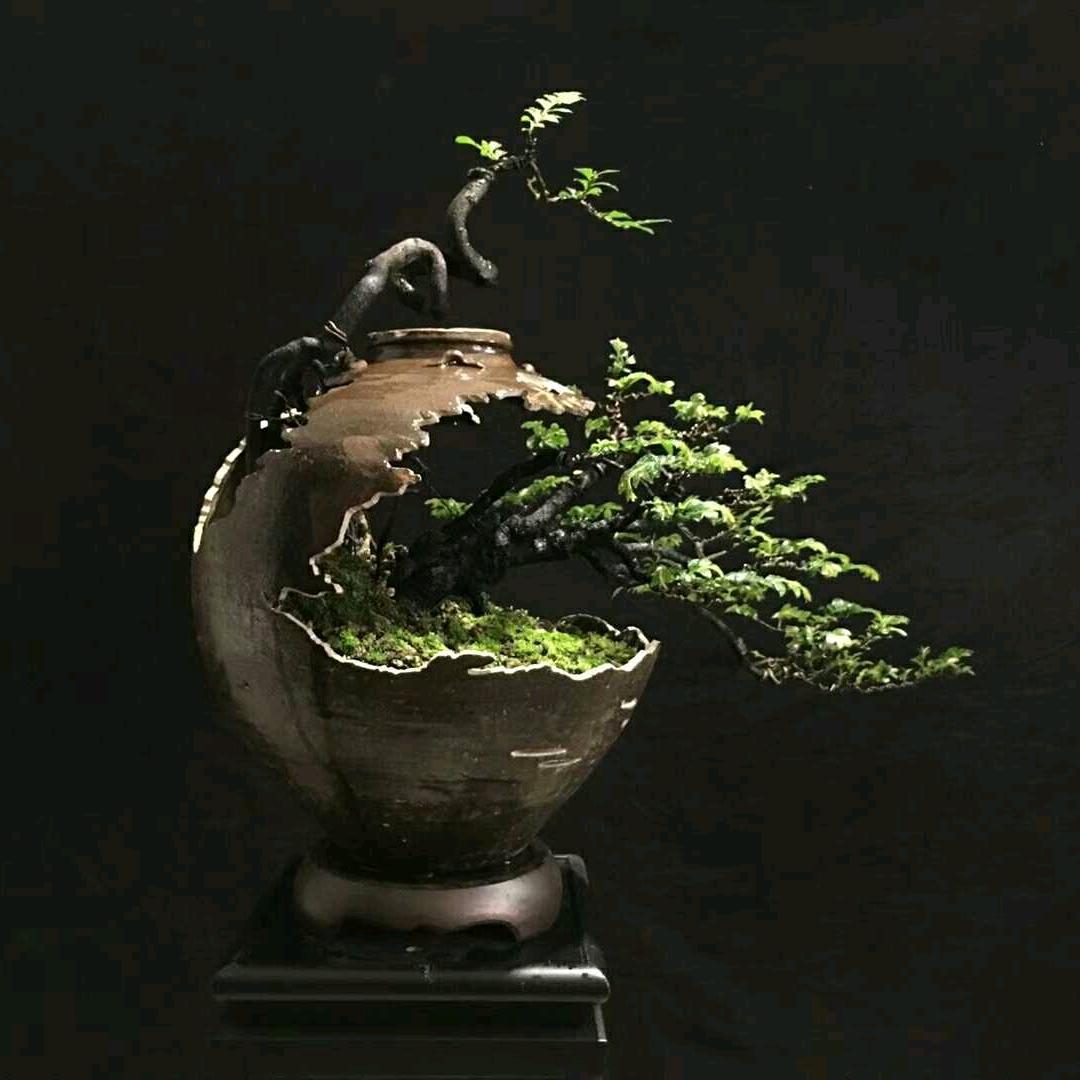 众帮部落土货甄选