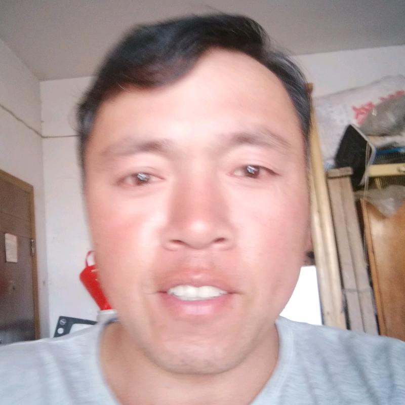 春天的太阳.