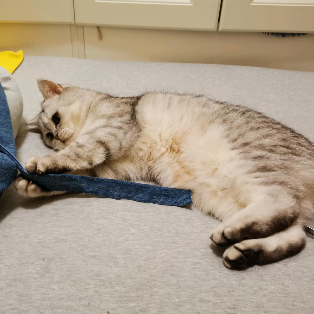 猎妞