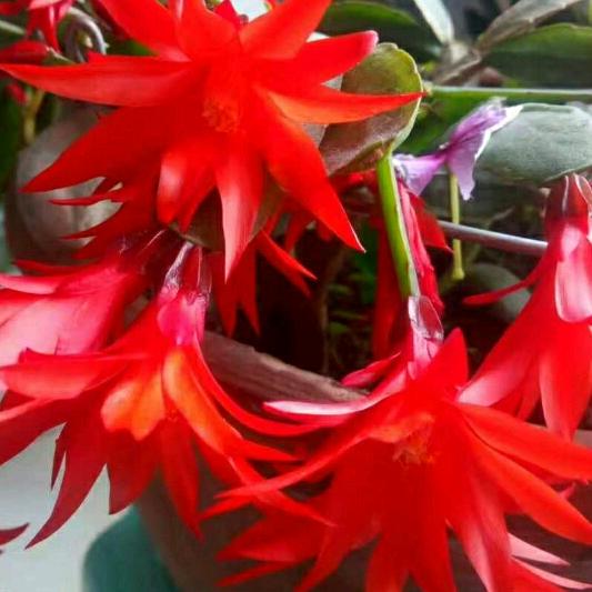 用户241638985快乐人生