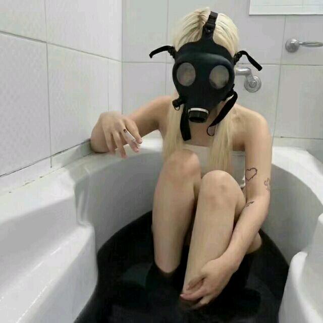 pig_