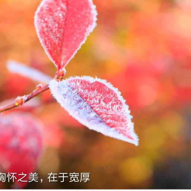 为我加油