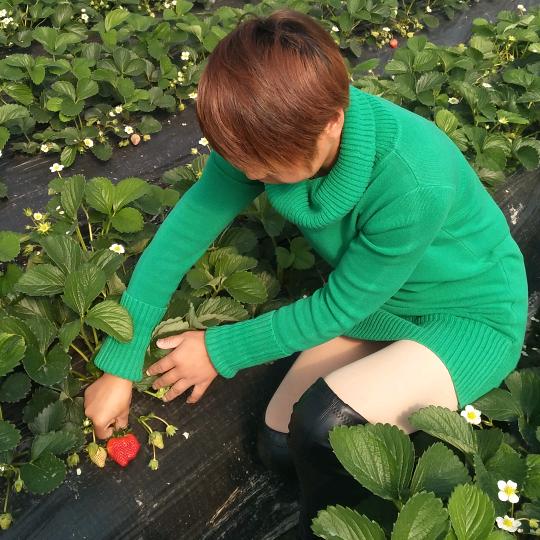 休宁新教育文昌路娟子🍓采摘园