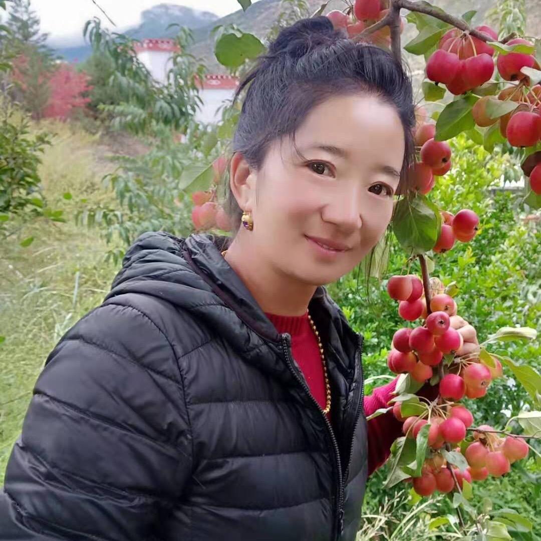 扎西德勒