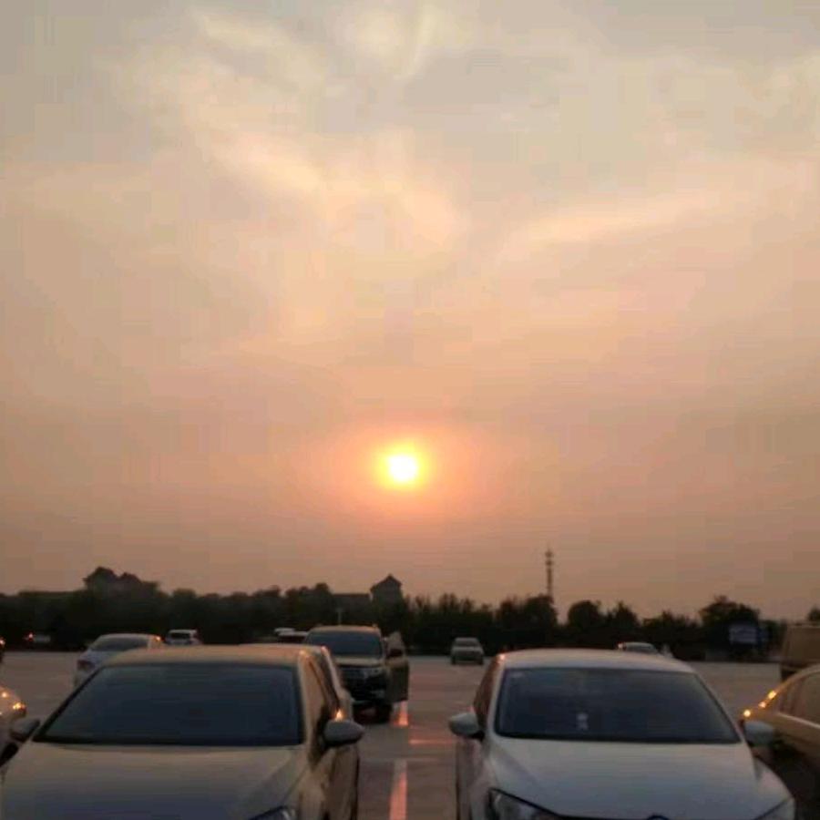 @问道养生