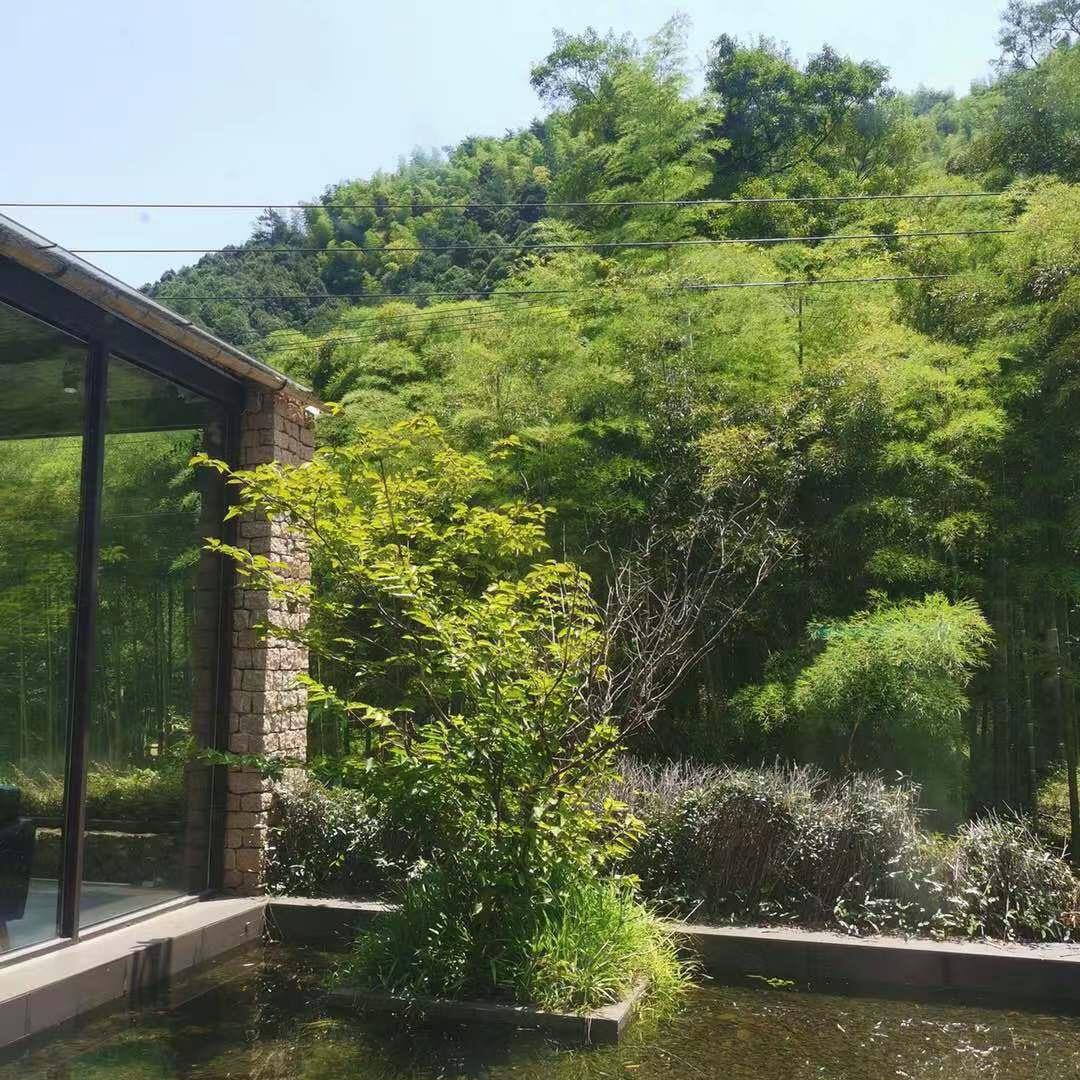 渝淇肥肠鸡烧烤店