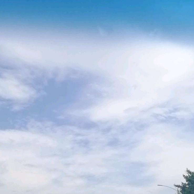 茂盛