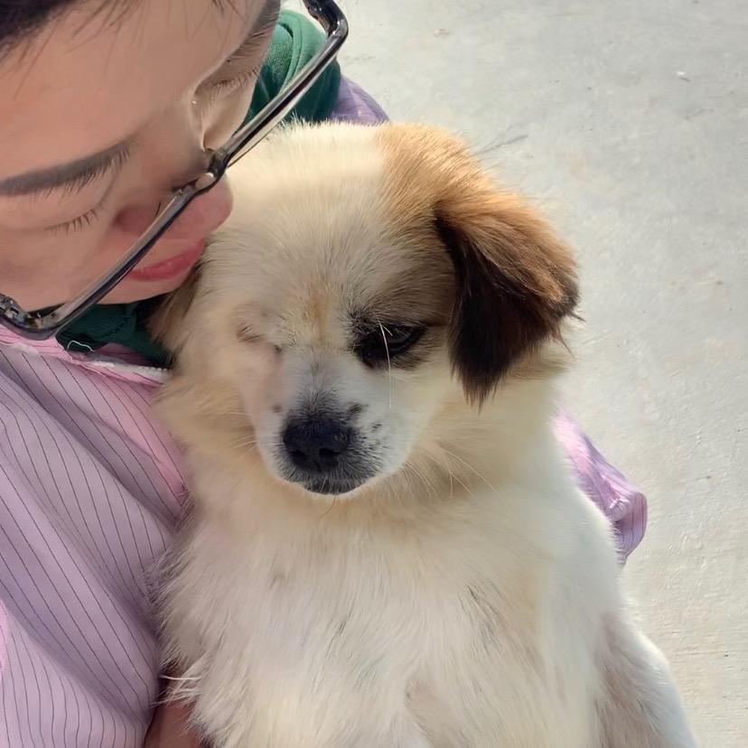 十一宝宝
