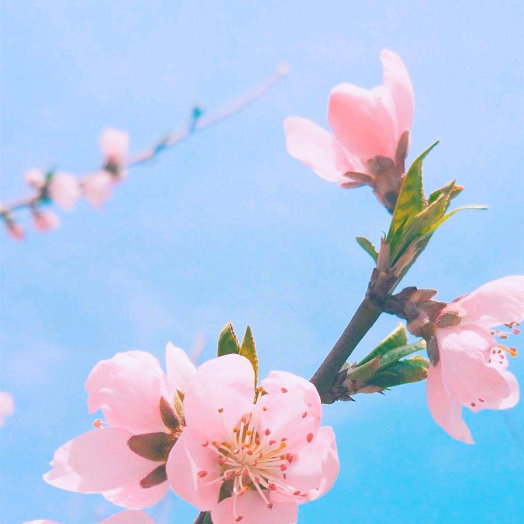 风雨彩虹