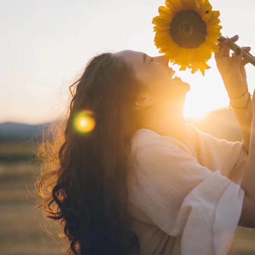 太阳花
