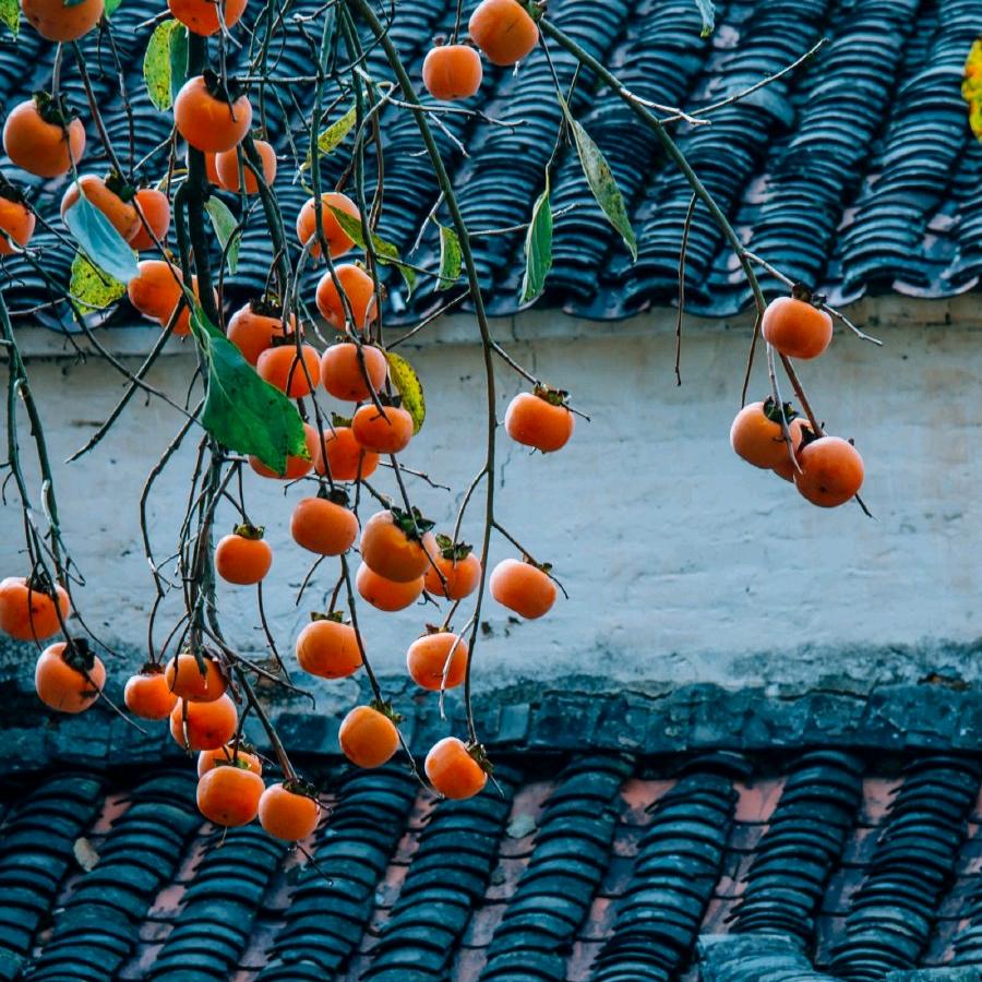 听风不一定会下雨