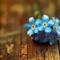 我的世界无人懂