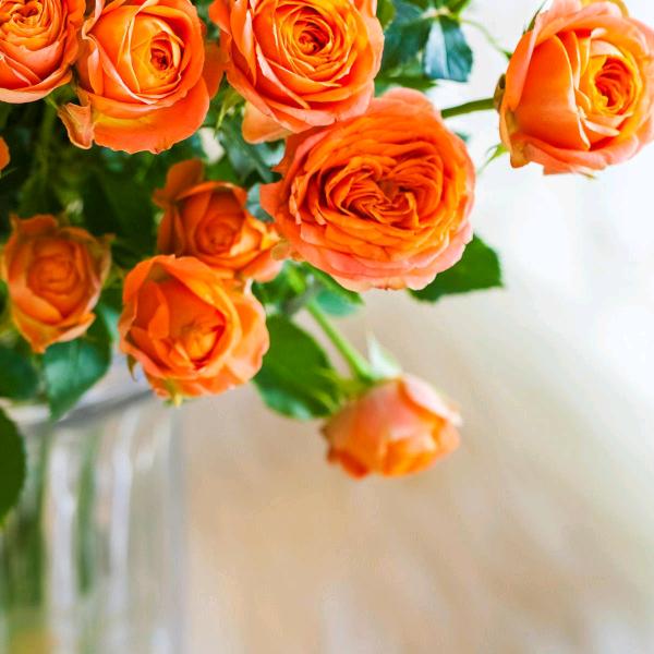 占领饭店。。逊母口南湾赵村欢迎你