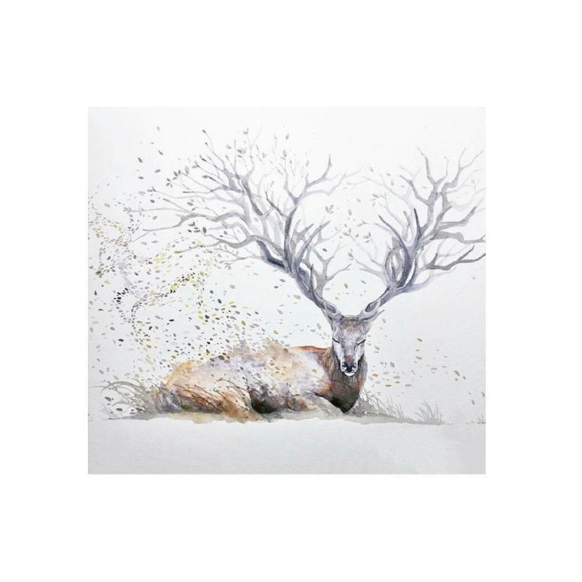 小鹿Buck