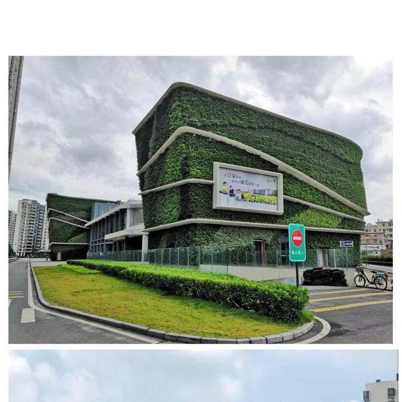 植物墙-美贸园林