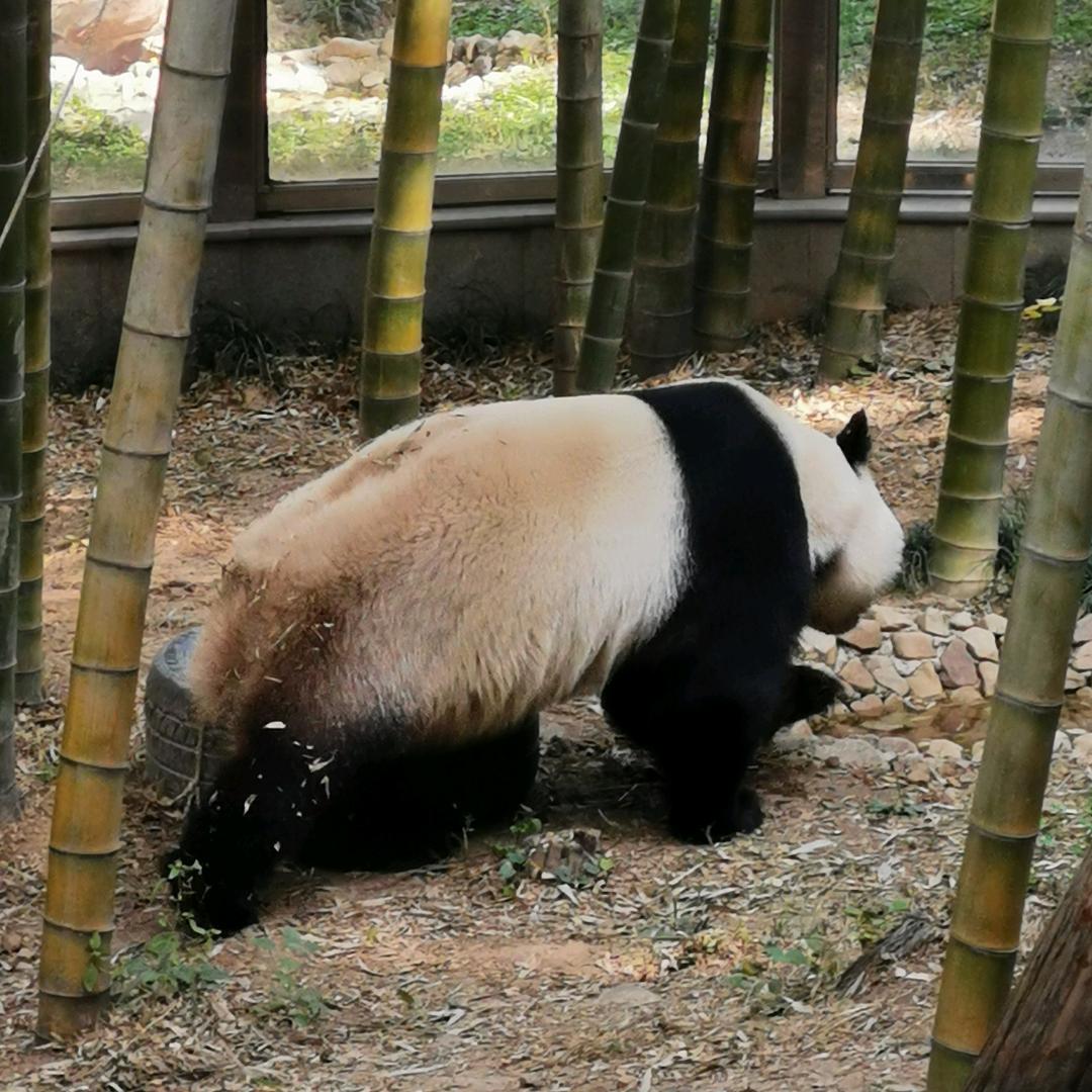 走走停停