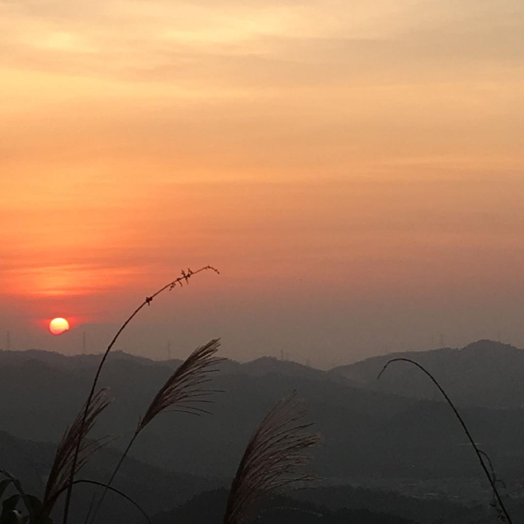 你的方程式