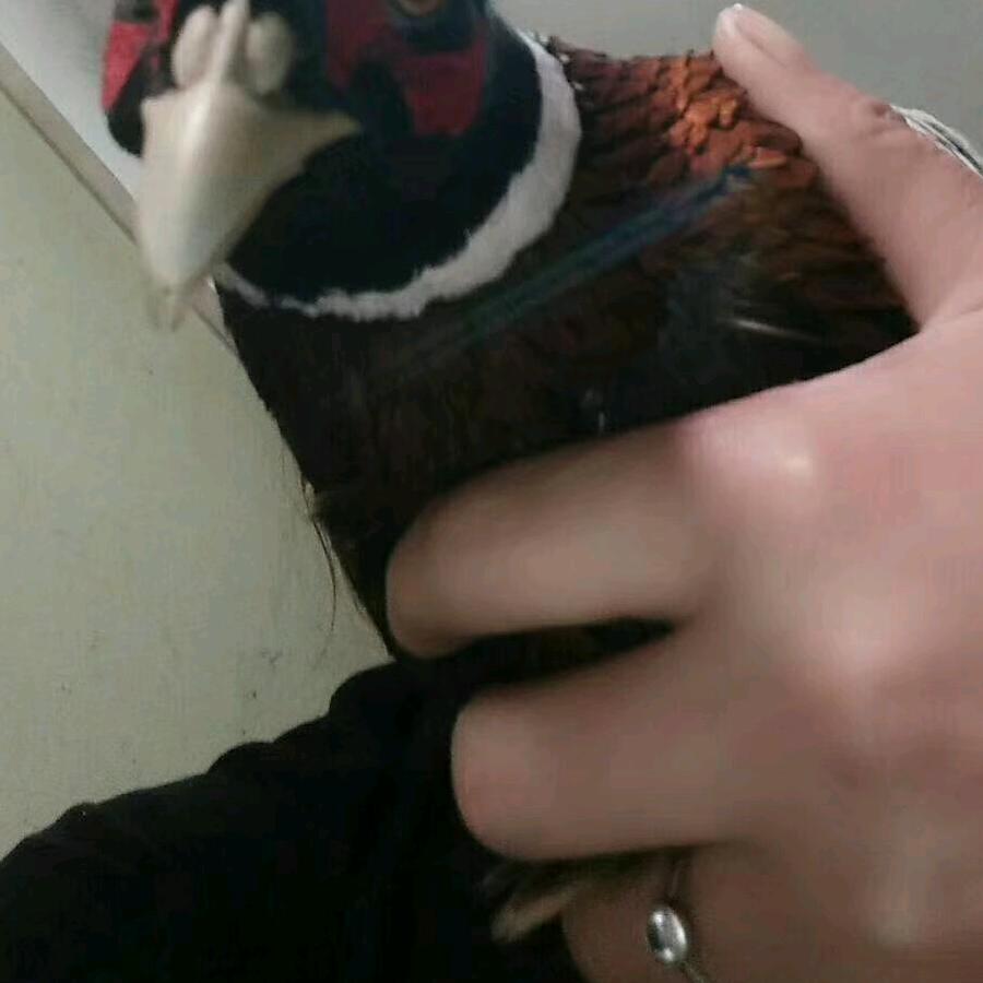 风雨过后天会晴