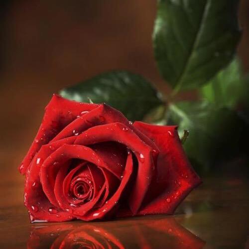 💋刻骨铭心🌹