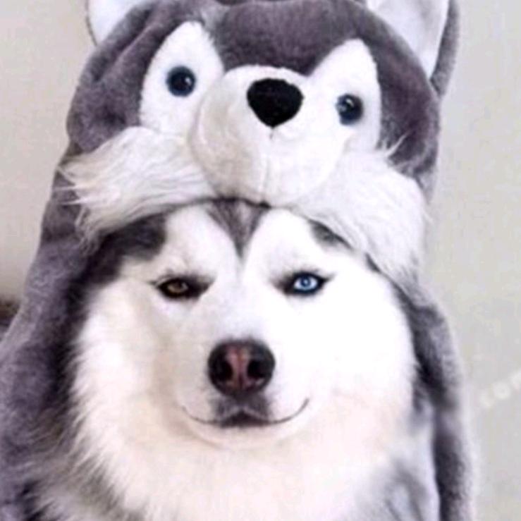 楚星～🎥（丽江）