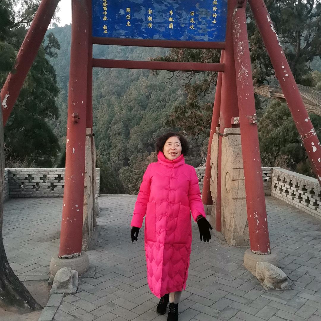 花儿