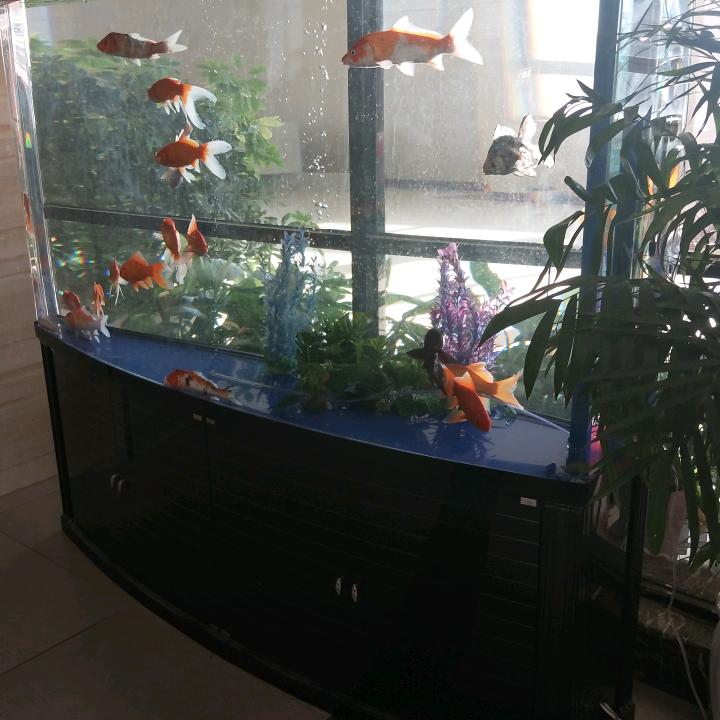 王俊英🌷🌷🌷🌷🌷