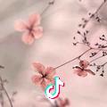 念忘之间