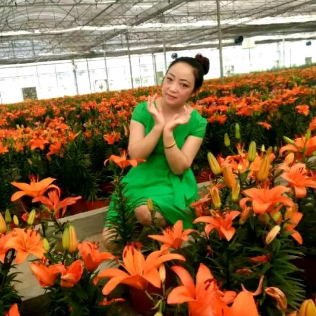 小蚂蚁
