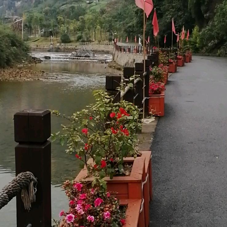 锋哥
