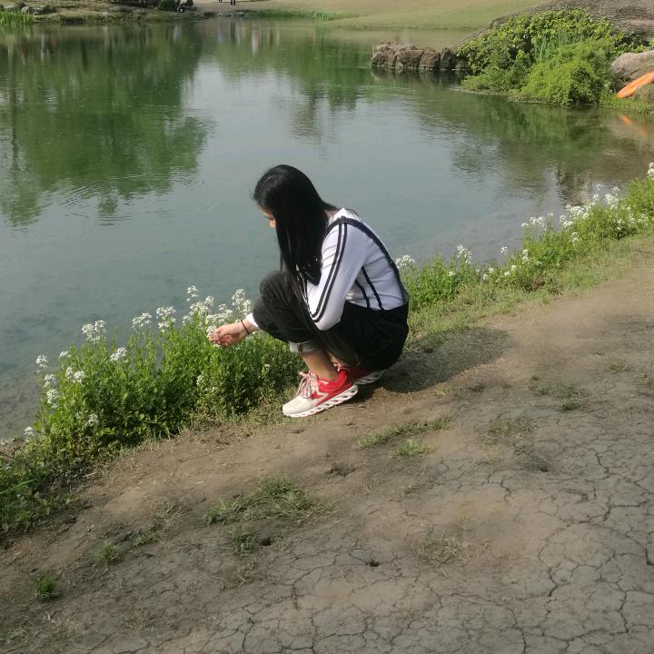 木子人言王令