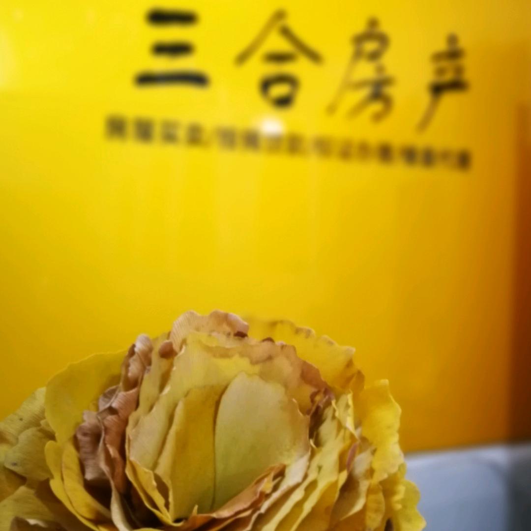 yuping三合