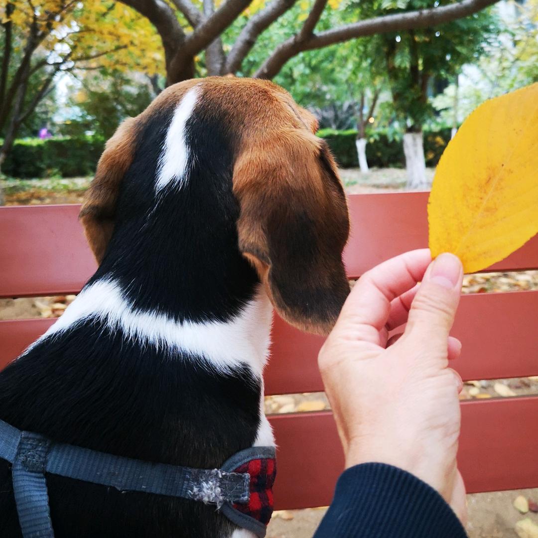 日青雨林🍀🌺🍁🌹
