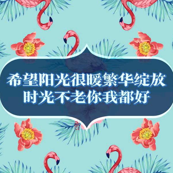 简单666