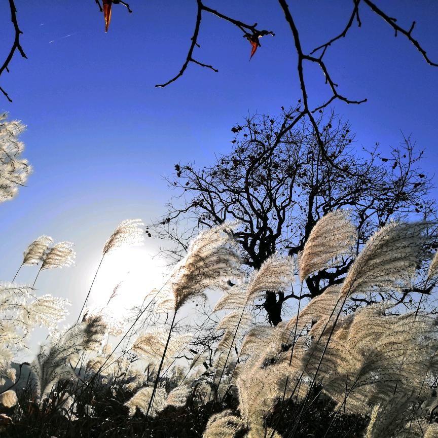 每个明天都值得期待