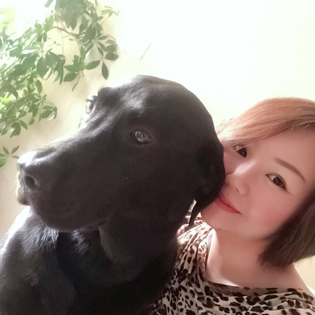 曲奇麻麻