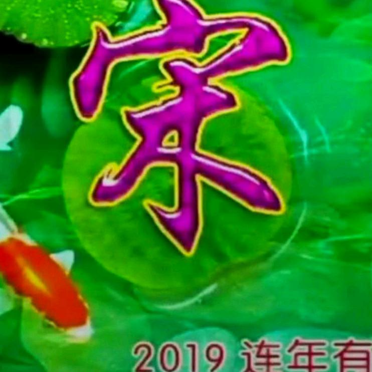 宋振宇