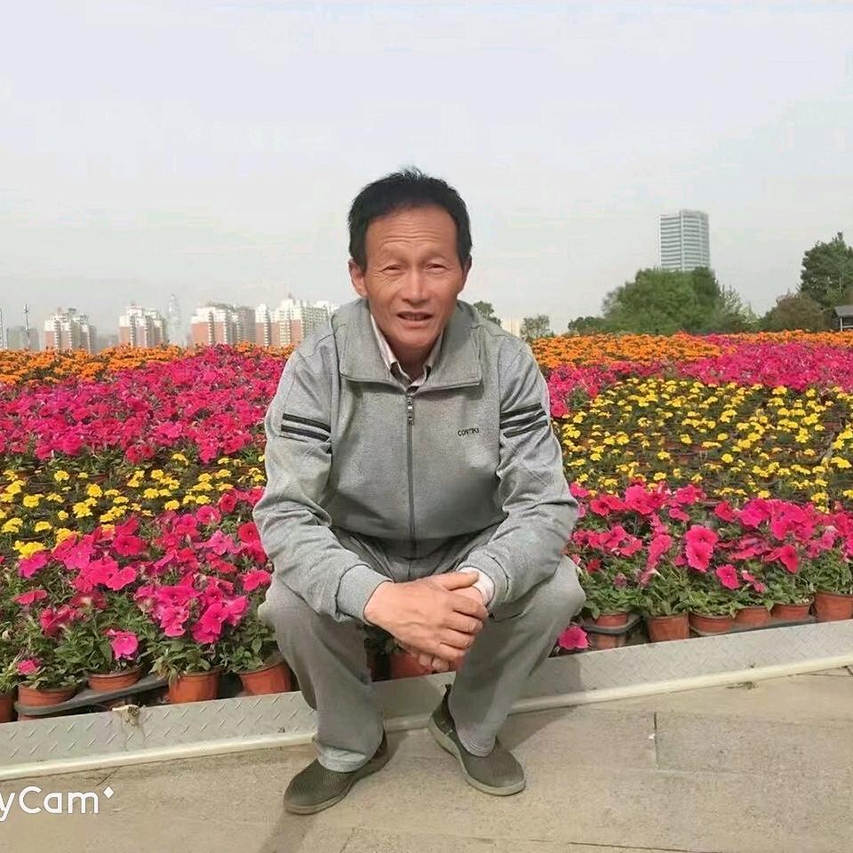 红苹果